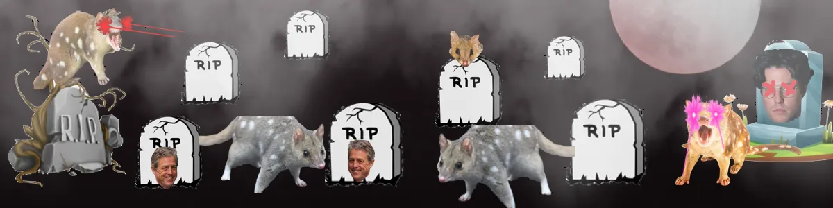 spooky quolls